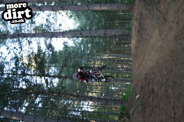 Chicksands Bike Park