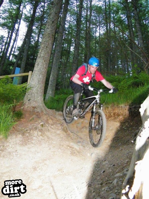 The Red Trail - Glentress