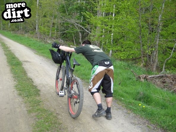 Powerline Trail - Chopwell