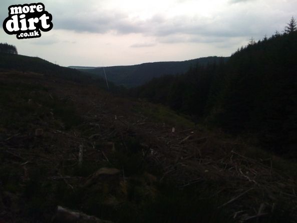 Whites Level Trail - Afan Forest