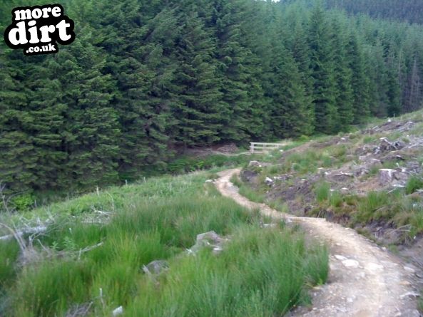 Whites Level Trail - Afan Forest