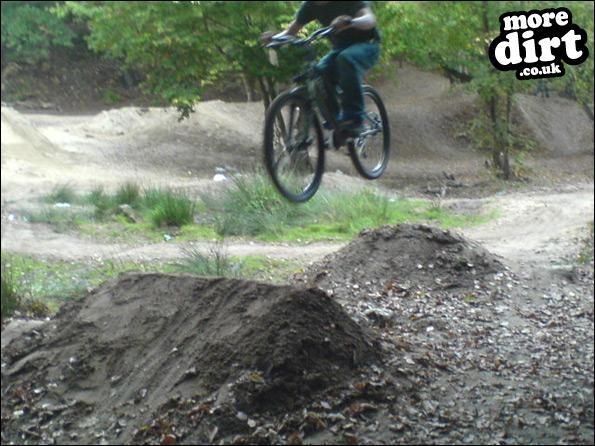 Buckland Rings Trail