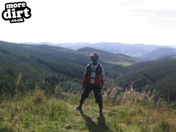 The Black Trail - Glentress