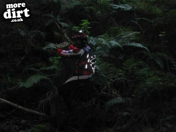 The Black Trail - Glentress