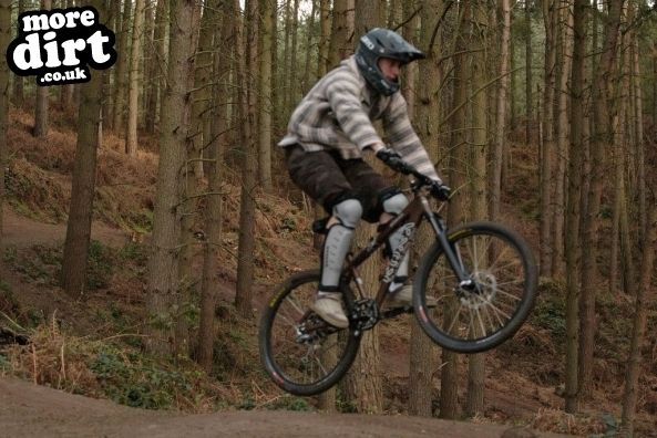Delamere Forest Mountain Bike Trails