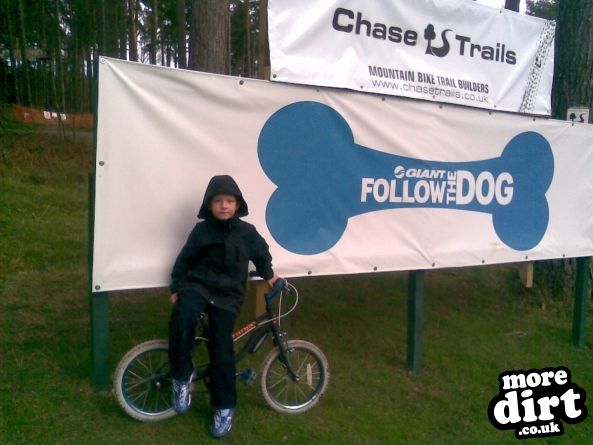 Follow the Dog Trail - Cannock Chase