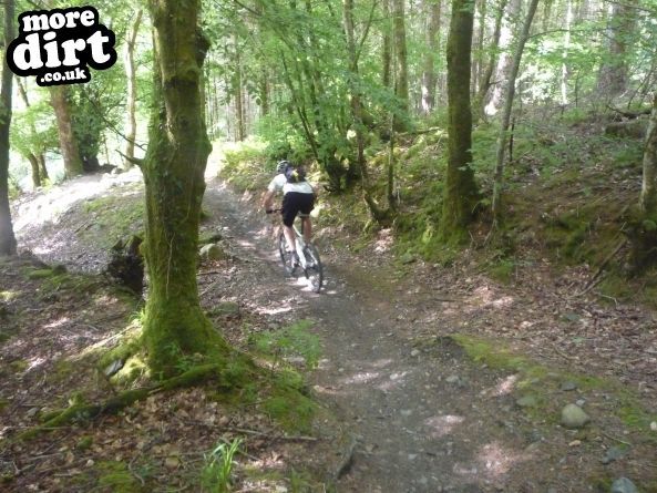 Gwydir Mawr Mountain Bike Trail
