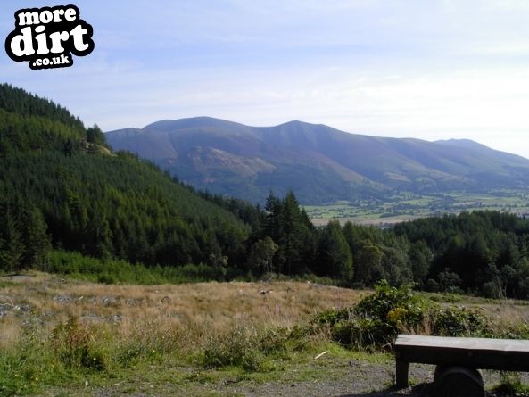 Quercus Trail - Whinlatter Forest