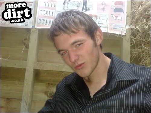 Follow the Dog Trail - Cannock Chase