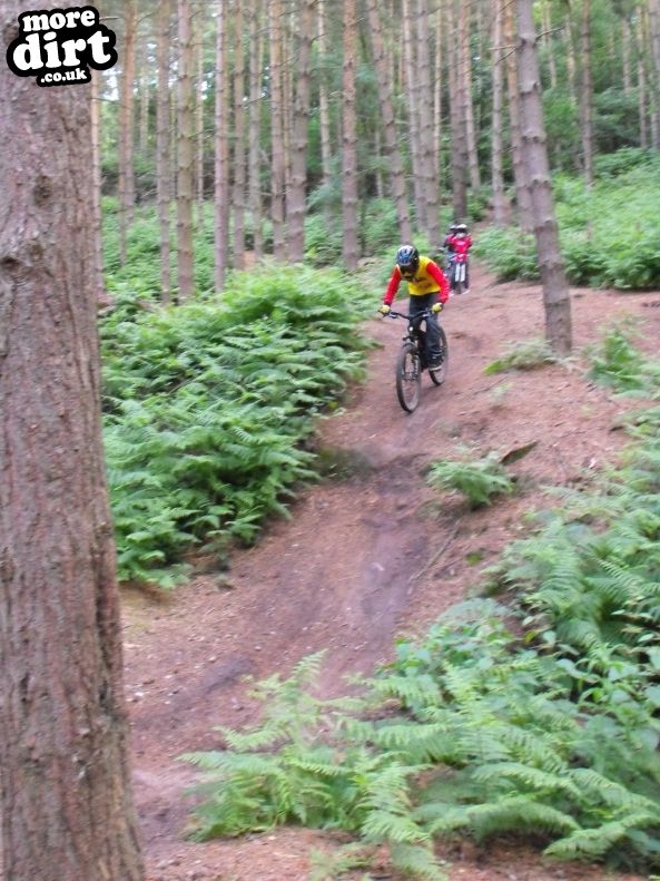 Kinver Freeride Park