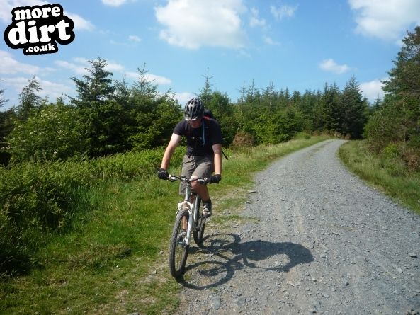 Gwydir Mawr Mountain Bike Trail