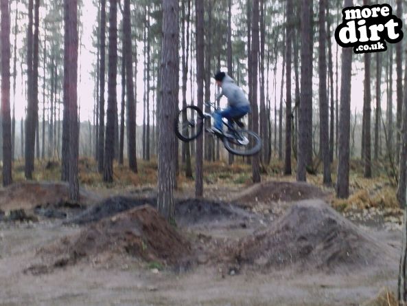 Sherwood Pines Bike Park