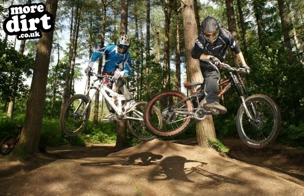 Delamere Forest Mountain Bike Trails