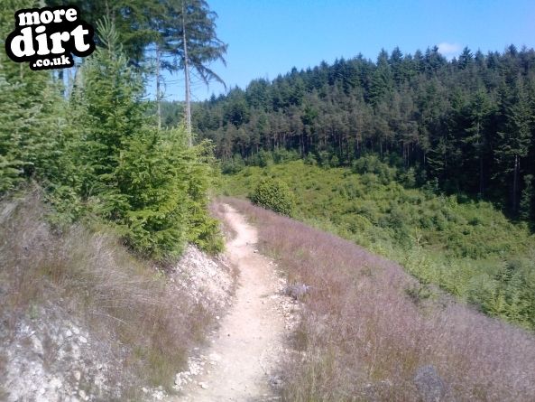 Dalby Forest Red Trail