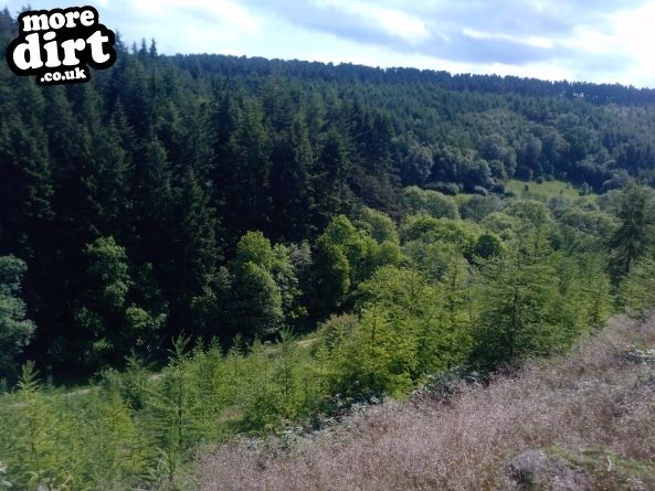 Dalby Forest Red Trail