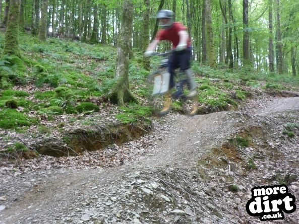 Raven Trail - Brechfa