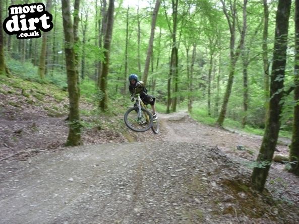 Raven Trail - Brechfa