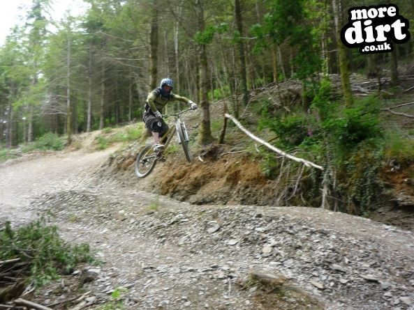 Raven Trail - Brechfa