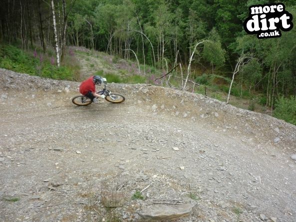 Raven Trail - Brechfa