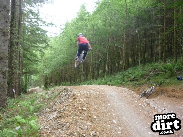 Raven Trail - Brechfa