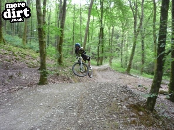 Raven Trail - Brechfa