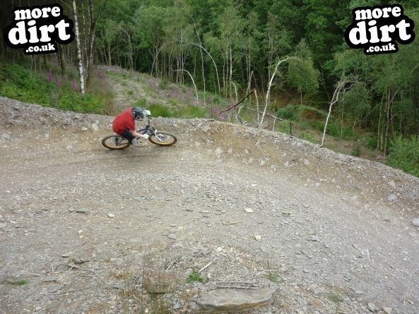 Raven Trail - Brechfa