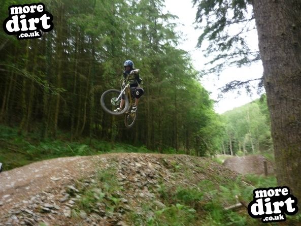 Raven Trail - Brechfa