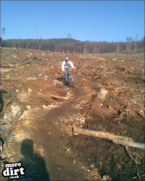 Descent Line Trail - Stainburn Forest