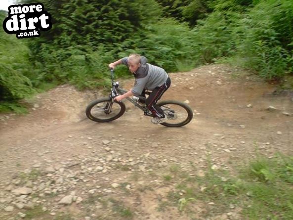 Llantrisant Wood Downhill Trails