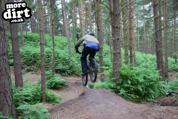 Kinver Freeride Park