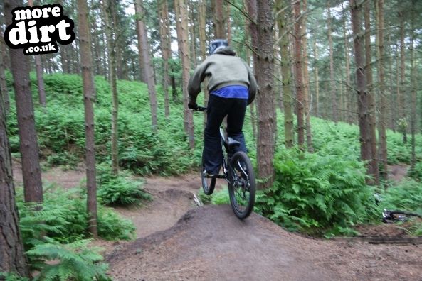 Kinver Freeride Park