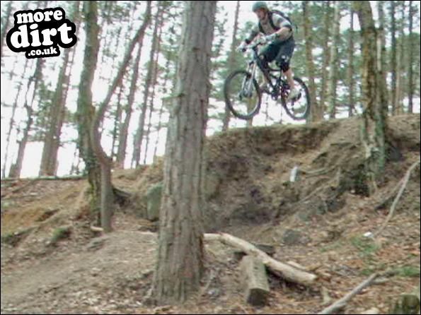 Swinley Forest Mountain Bike Centre