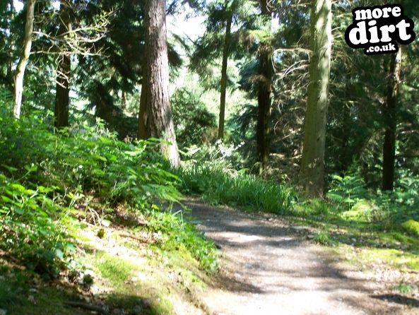 Gwydir Mawr Mountain Bike Trail