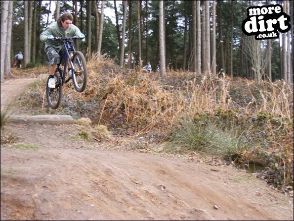 Delamere Forest Mountain Bike Trails