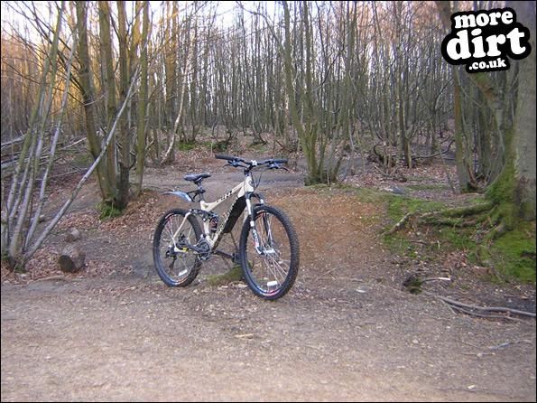 A little route around all the logging track in the