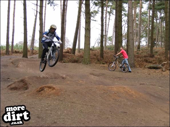Delamere Forest Mountain Bike Trails