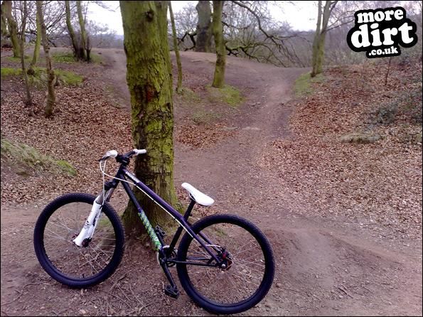 My P1 next to a small jumping area.