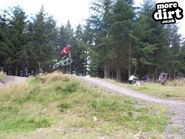 Freeride Park - Glentress