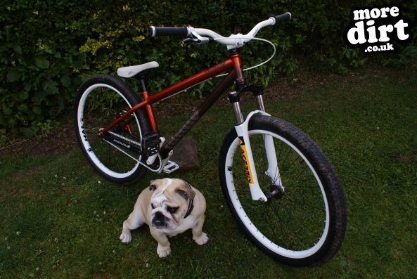 My dog guarding my pride and joy (sorta)