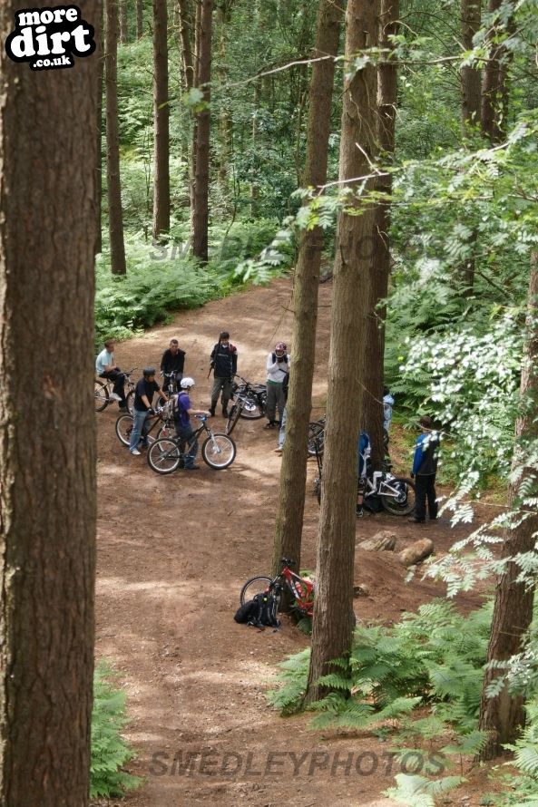 Delamere Forest Mountain Bike Trails