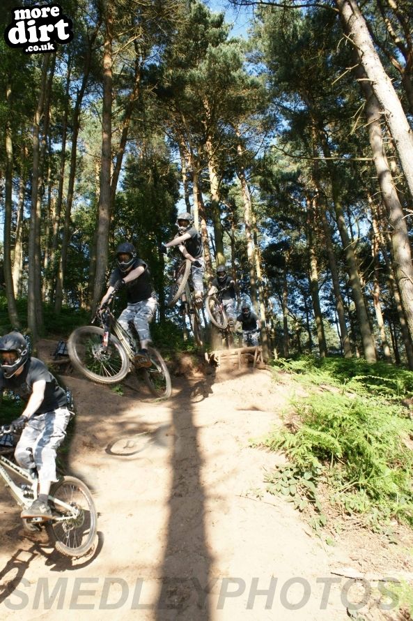 Delamere Forest Mountain Bike Trails