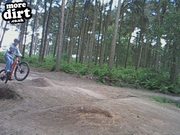Delamere Forest Mountain Bike Trails