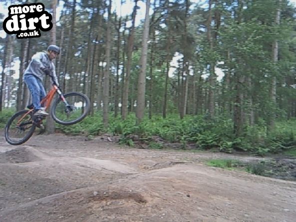 Delamere Forest Mountain Bike Trails