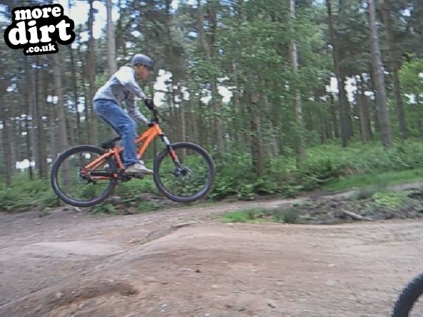 Delamere Forest Mountain Bike Trails