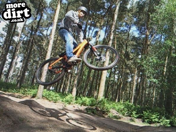 Delamere Forest Mountain Bike Trails
