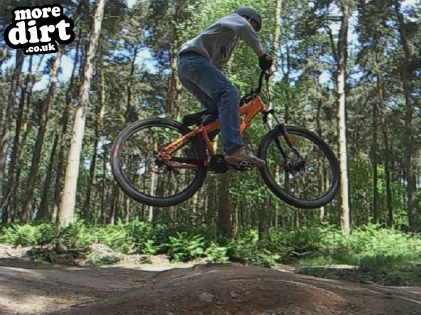 Delamere Forest Mountain Bike Trails