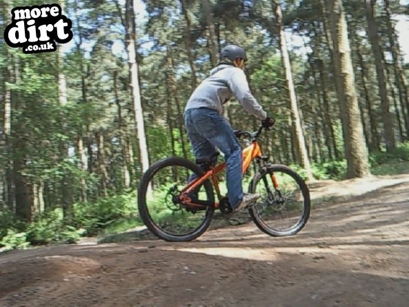 Delamere Forest Mountain Bike Trails