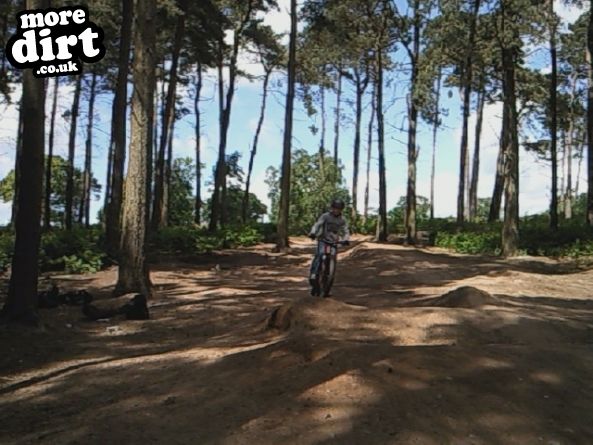 Delamere Forest Mountain Bike Trails