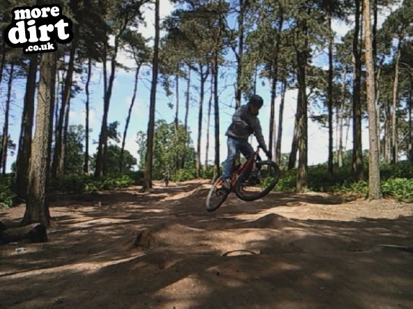 Delamere Forest Mountain Bike Trails