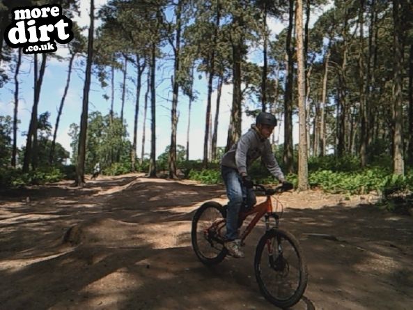 Delamere Forest Mountain Bike Trails